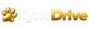 KynoDrive – Accueil